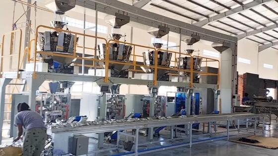 High Speed Automatic Packaging Machine Versatile Industrial Packing Machines High Efficiency