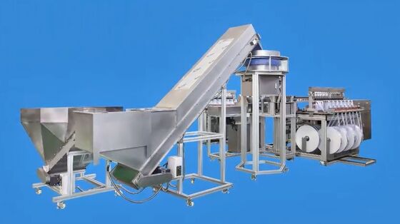 Syringe Packaging And Sealing Machine High Automation Heat Sealing Packaging Equipment